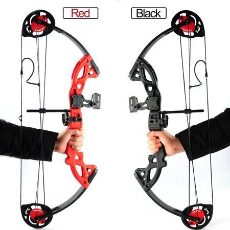 15 29lbs Teens Compound Bow Set Adjustable Twin Cam Hunting Bow for Youth/Teenager and Beginner Entry Level