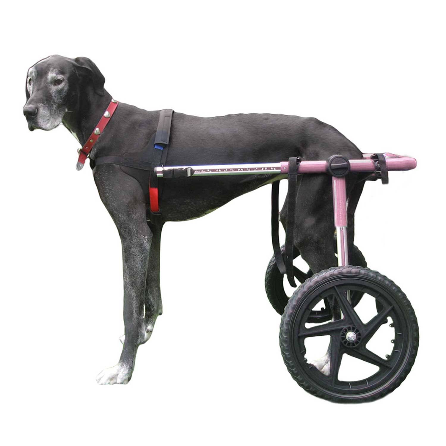 Wheels Dog Wheelchair for Large Dogs 70 180 Pounds Veterinarian Approved Dog Wheelchair for Back