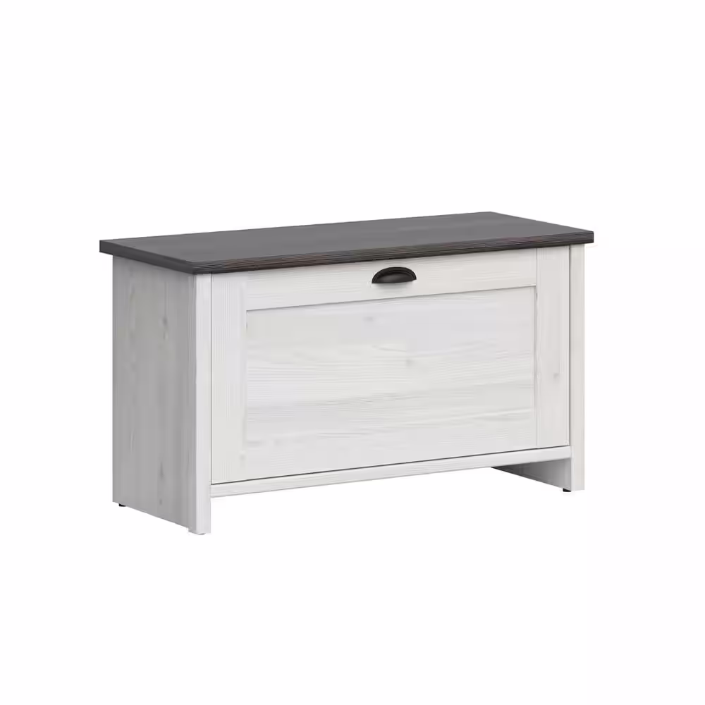 Solutions Walton 19.1 in. H x 33.27 in. White Finished Wood Shoe Storage