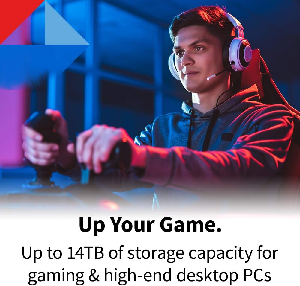 X300 8TB Performance Gaming 3.5 Inch Internal Hard Drive CMR SATA 6 GB/s 7200 RPM 256 MB Cache